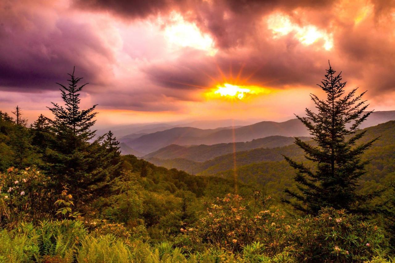 Heavenly Bearadise Cabin In Cashiers, Nc! Exterior foto